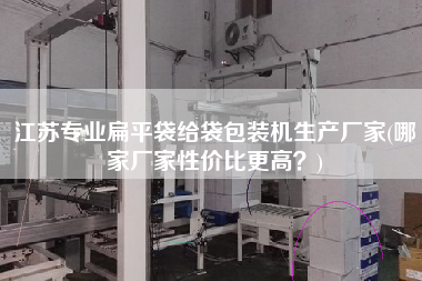 江蘇專業(yè)扁平袋給袋包裝機(jī)生產(chǎn)廠家(哪家廠家性價(jià)比z高？)