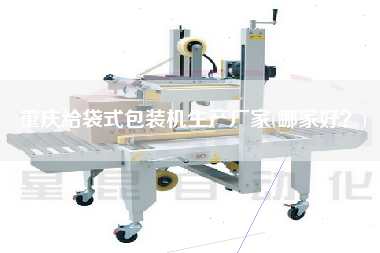 重慶給袋式包裝機(jī)生產(chǎn)廠家(哪家好？)