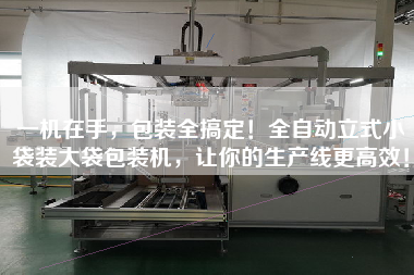 一機(jī)在手，包裝全搞定！全自動(dòng)立式小袋裝大袋包裝機(jī)，讓你的生產(chǎn)線z高效！