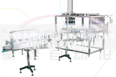 江蘇專業(yè)自動包裝設(shè)備生產(chǎn)商(你知道他們?yōu)槭裁磦涫芮嗖A嗎？)