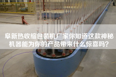 阜新熱收縮包裝機(jī)廠家你知道這款神秘機(jī)器能為你的產(chǎn)品帶來(lái)什么驚喜嗎？