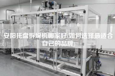 安陽托盤拆垛機哪家好(如何選擇z適合自己的品牌)