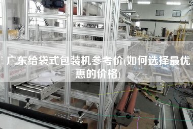 廣東給袋式包裝機參考價(如何選擇z優(yōu)惠的價格)