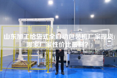 山東加工給袋式全自動(dòng)包裝機(jī)廠家現(xiàn)貨(哪家廠家性價(jià)比z高？)