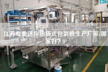 江蘇專業(yè)迷你給袋式包裝機(jī)生產(chǎn)廠家(哪家好？)