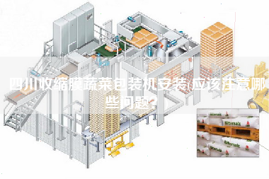 四川收縮膜蔬菜包裝機(jī)安裝(應(yīng)該注意哪些問題？)