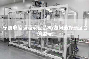 寧夏收縮膜蔬菜包裝機(jī)(如何選擇z適合的型號)