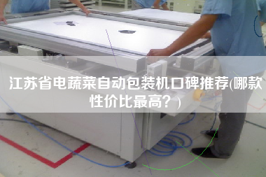 江蘇省電蔬菜自動包裝機口碑推薦(哪款性價比z高？)