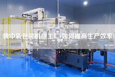 袋中袋包裝機組工廠(如何提高生產效率)