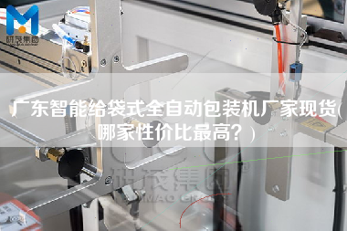 廣東智能給袋式全自動(dòng)包裝機(jī)廠家現(xiàn)貨(哪家性價(jià)比z高？)