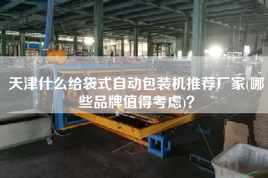 天津什么給袋式自動(dòng)包裝機(jī)推薦廠家(哪些品牌值得考慮)？