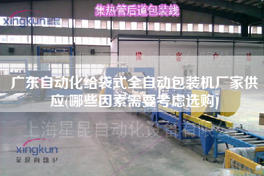 廣東自動(dòng)化給袋式全自動(dòng)包裝機(jī)廠家供應(yīng)(哪些因素需要考慮選購(gòu))