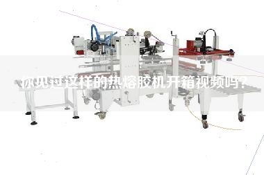 你見(jiàn)過(guò)這樣的熱熔膠機(jī)開(kāi)箱視頻嗎？