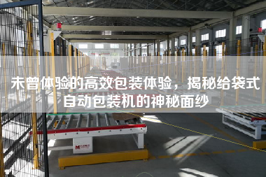 未曾體驗的高效包裝體驗，揭秘給袋式自動包裝機的神秘面紗