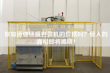 你知道纏繞膜包裝機(jī)的價(jià)格嗎？驚人的真相即將揭曉！