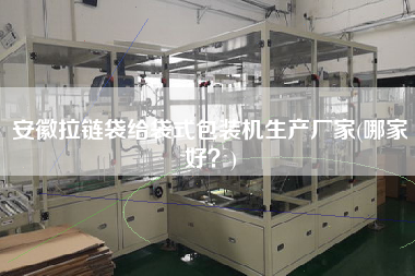 安徽拉鏈袋給袋式包裝機(jī)生產(chǎn)廠家(哪家好？)