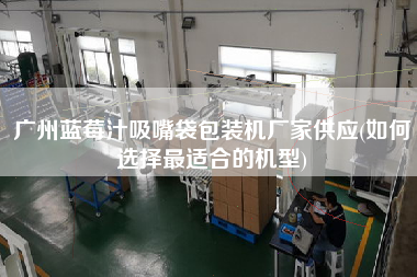 廣州藍(lán)莓汁吸嘴袋包裝機(jī)廠(chǎng)家供應(yīng)(如何選擇z適合的機(jī)型)