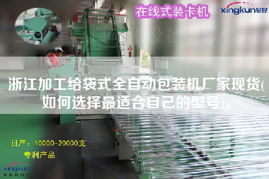 浙江加工給袋式全自動包裝機廠家現(xiàn)貨(如何選擇z適合自己的型號)。