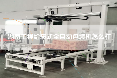 湖南工程給袋式全自動包裝機怎么樣