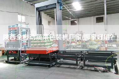 陜西全自動蔬菜包裝機(jī)廠家(哪家好用？)