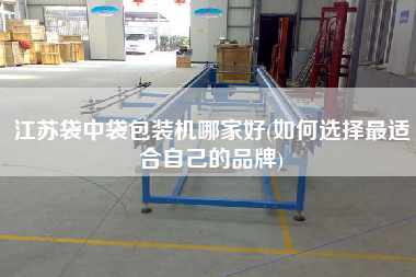 江蘇袋中袋包裝機(jī)哪家好(如何選擇z適合自己的品牌)