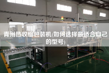 青州熱收縮包裝機(jī)(如何選擇z適合自己的型號(hào))