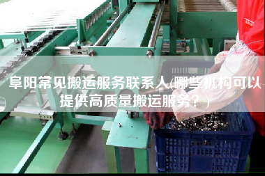 阜陽常見搬運服務(wù)聯(lián)系人(哪些機構(gòu)可以提供高質(zhì)量搬運服務(wù)？)