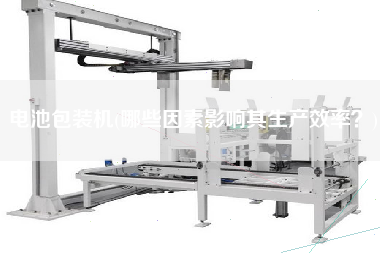 電池包裝機(jī)(哪些因素影響其生產(chǎn)效率？)