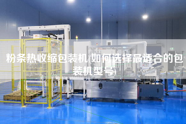 粉條熱收縮包裝機(jī)(如何選擇z適合的包裝機(jī)型號(hào))