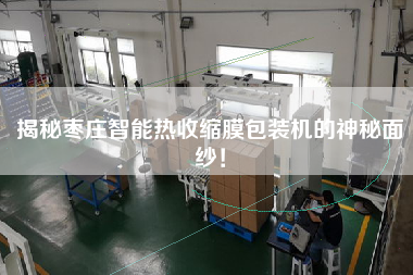 揭秘棗莊智能熱收縮膜包裝機的神秘面紗！
