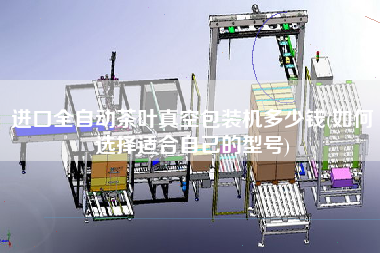 進(jìn)口全自動(dòng)茶葉真空包裝機(jī)多少錢(如何選擇適合自己的型號(hào))