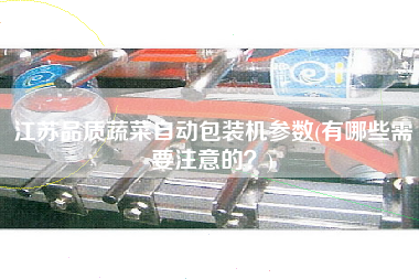 江蘇品質(zhì)蔬菜自動(dòng)包裝機(jī)參數(shù)(有哪些需要注意的？)