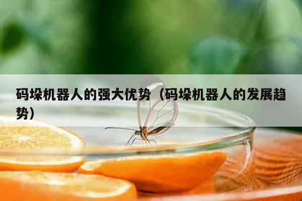 碼垛機(jī)器人的強(qiáng)大優(yōu)勢(shì)（碼垛機(jī)器人的發(fā)展趨勢(shì)）